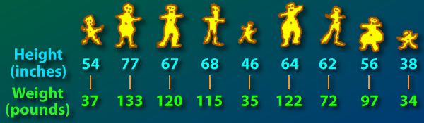 Related Measures: Height & Weight