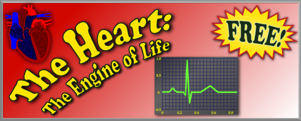 The Heart: The Engine of Life banner